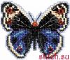 38189.thumb.jpg.64f460fab274310c93d7f3114ee04e19.jpg
