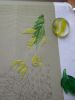7.thumb.jpg.45a959f2fbe220a9efd7226cb4381e95.jpg