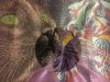 8F2F048C-F49A-4455-BC87-6BEE6C9FA9D6.jpeg