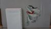 DSC07818.thumb.JPG.468bcdd92008005416885f5e61ceaf59.JPG