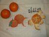DSCF3453.thumb.JPG.bf97e38ae23f748ad835b611669853a5.JPG