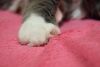 DSC_9637.thumb.JPG.80f76857d5c3eeeb18c7041789f88aee.JPG