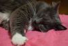 DSC_9640.thumb.JPG.59b61b9383730062ff0abda3c7a9b437.JPG
