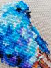 IMG_20191229_124325.thumb.jpg.2357f9b977c7f04446b84e1c90df353d.jpg