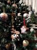 IMG_20191231_203046.jpg