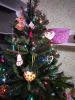 IMG_20200101_025220.thumb.jpg.ed286ab5885ff6160c4af3e7c8ba2f4e.jpg