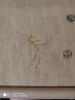 IMG_20200103_191759.thumb.jpg.7990f32d2f7b19089431fade3fc293bd.jpg