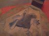 IMG_20200104_135513.thumb.jpg.d5f8419db151be88dc5a065e490d2fba.jpg