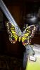 IMG_20200110_202354.thumb.jpg.071934e59fcbafecff8c0ff44ddb7e24.jpg