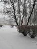 IMG_20200111_113434.thumb.jpg.46b089810856cb131af98194e7ec84f9.jpg