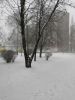 IMG_20200111_113437.thumb.jpg.c2b2078e1b06a23afcb9dfeb6aacb233.jpg