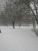 IMG_20200111_113453.thumb.jpg.8d644a7c5a69ff07f247486ee3847346.jpg