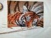IMG_20200111_153313.thumb.jpg.340bd538578d4fdd1d71d8e94fc30691.jpg?1578845767799
