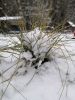 IMG_20200112_113220.thumb.jpg.77d6b7b0b09e66ce32fd9af1e02a6ac9.jpg