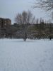 IMG_20200112_113717.thumb.jpg.d6b9a10929bdf513b75431464f314d67.jpg
