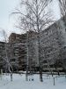 IMG_20200112_121136.thumb.jpg.4b2e561bc4f3c1e57a0cd045d3709a57.jpg