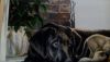 IMG_20200114_233526.thumb.jpg.923c63a7ff51af335d14ea0af99f91ac.jpg
