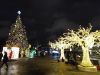 IMG_20200117_205916.thumb.jpg.8889039a1dd475b16ba9a7af6612a618.jpg