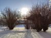 IMG_20200126_135845.thumb.jpg.845974cce597152b7083565649d4b181.jpg