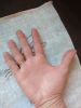 IMG_20200131_100044.thumb.jpg.e560146dcbfed08f7b09f690581408d4.jpg