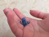 IMG_4562.thumb.jpg.d42c494fe25bfc27d65ec54286fee697.jpg