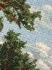 IMG_6770.thumb.JPG.9ba952ad243e1243cbf950fdc7aee40f.JPG?1580470751599