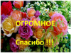 image.thumb.png.e165fef8c0e72e61020ea5081135d053.png