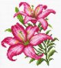 liliya_matrenin_posad_1293_1.thumb.jpg.bdda95441c5e4a52d5c6045c09392160.jpg