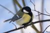 1154763100_.thumb.jpg.83aef39f4fff581be85dd59a36502558.jpg