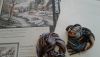 20150401_062753.thumb.jpg.802ebbd2a63f274f357e992298be0df7.jpg