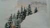 20150406_133247.thumb.jpg.cf50c90ae0a5470f30344e6603b0fc3e.jpg