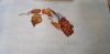 20181202_120116.thumb.jpg.e24943dcfe3cf29e90817dcf563c6958.jpg