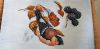 20190120_121635.thumb.jpg.9eccbcf77fc4747fda7c0cfa514b65bb.jpg