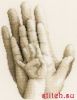 33178.thumb.jpg.6ba33fea0d805b0ff39f944cceeb9929.jpg