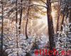 45223.jpg.b003650b0fc4e463c4cb9f511cb7c69f.thumb.jpg.03bed6eae988d24b92bf45e05c6c2fac.jpg