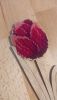 5.thumb.jpg.0a283693a8bb38f8be60e9052275c147.jpg
