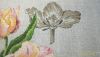 5.thumb.jpg.50ff394e745b0d0774a3a20aace7dbe9.jpg