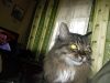 DSCF3538.thumb.JPG.96ab82e14ae514969f6ab80fa1a7ace6.JPG