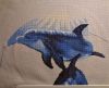 Dolphins6.thumb.JPG.7e9c105406a46b0ca1bd2945204ef345.JPG