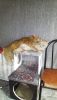 IMG-20191229-WA0000.thumb.jpg.da4f5b7d33c767cd2f1aa66ebd4b1a66.jpg
