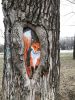 IMG-5923.thumb.jpg.7cf1046887784039eb39fe670fbd41a3.jpg