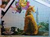 IMG_20190403_020843.thumb.jpg.02b6257856dbe4890fe6760951c9d95f.jpg