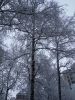 IMG_20200111_151529.thumb.jpg.6adf68c2ef6a6b5ff3b1fdf2fc89dc3d.jpg