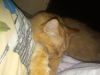 IMG_20200112_022434.thumb.jpg.8a87cd6c1dca0feaac1bf7ec5ae68d01.jpg