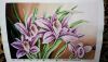 IMG_20200124_064526.thumb.jpg.81ac32681a8420fcb117044ad0c747e6.jpg