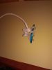 IMG_20200205_212920.thumb.jpg.c429f9fe12f746d5fa4cafeaca79af70.jpg