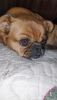 IMG_20200214_235701.thumb.jpg.e9292833c3d3e8864d9c74ce4d022b61.jpg