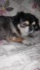 IMG_20200214_235748.thumb.jpg.bd7126c7629a2f318b4d123f933f2f58.jpg