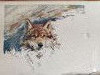 IMG_20200215_114002.thumb.jpg.bc885cd92b2c6cbc3e064cd44553caa3.jpg?1581757609950