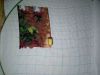 IMG_20200216_182000.thumb.jpg.1a5b4126c960518dbe73f60cb4d7e3de.jpg
